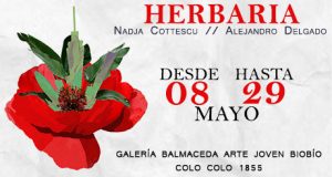 Muestra sobre vegetación endémica llega a BAJ Bío Bío @ Balmaceda Arte Joven Biobío | Concepción | Región del Bío Bío | Chile