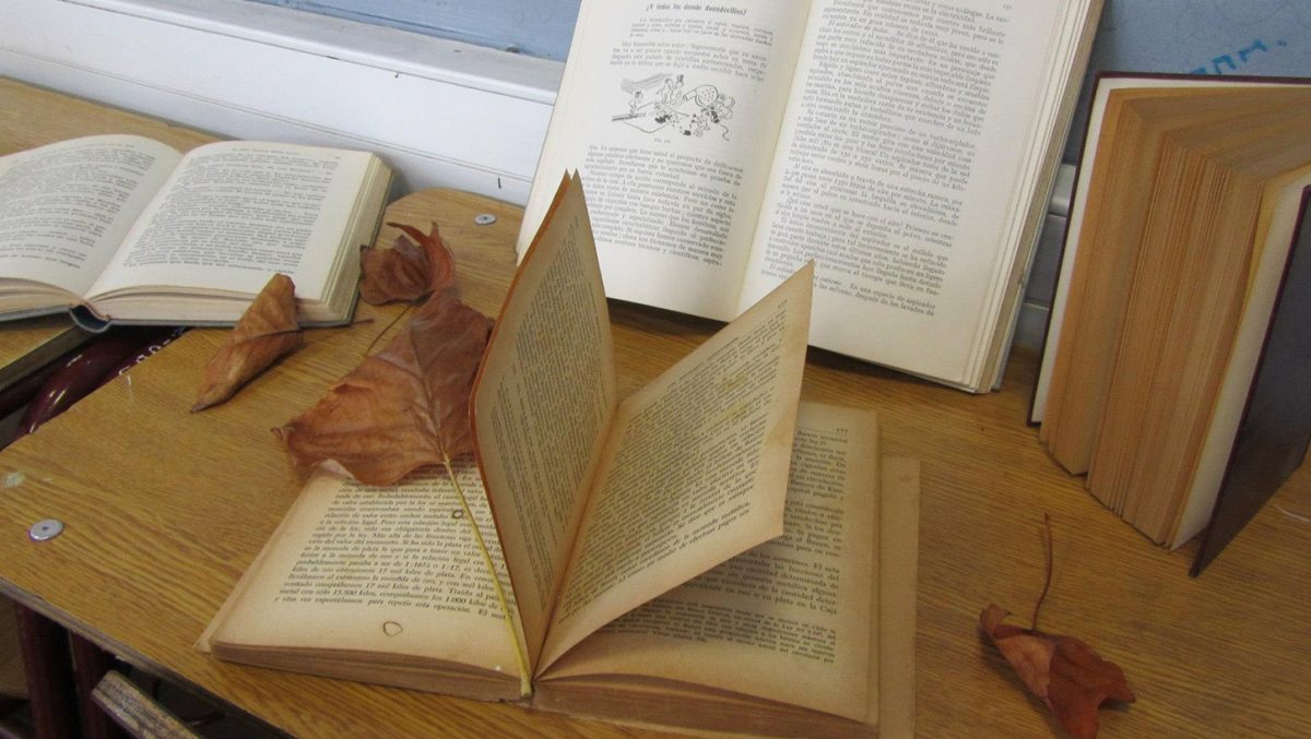 Escritura Creativa. Narradores principiantes