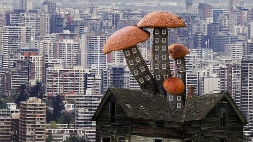Diversas reflexiones sobre la sociedad a través del arte en el taller «Collage en Resistencia»
