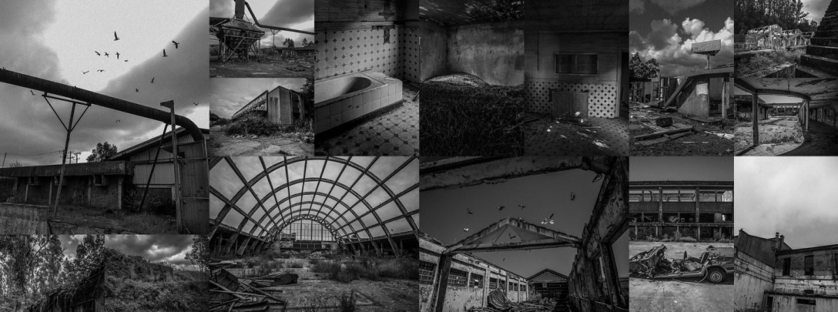 BAJ ANTOFAGASTA INVITA A SEMINARIO WEB DE FOTOGRAFÍA CONTEMPORÁNEA