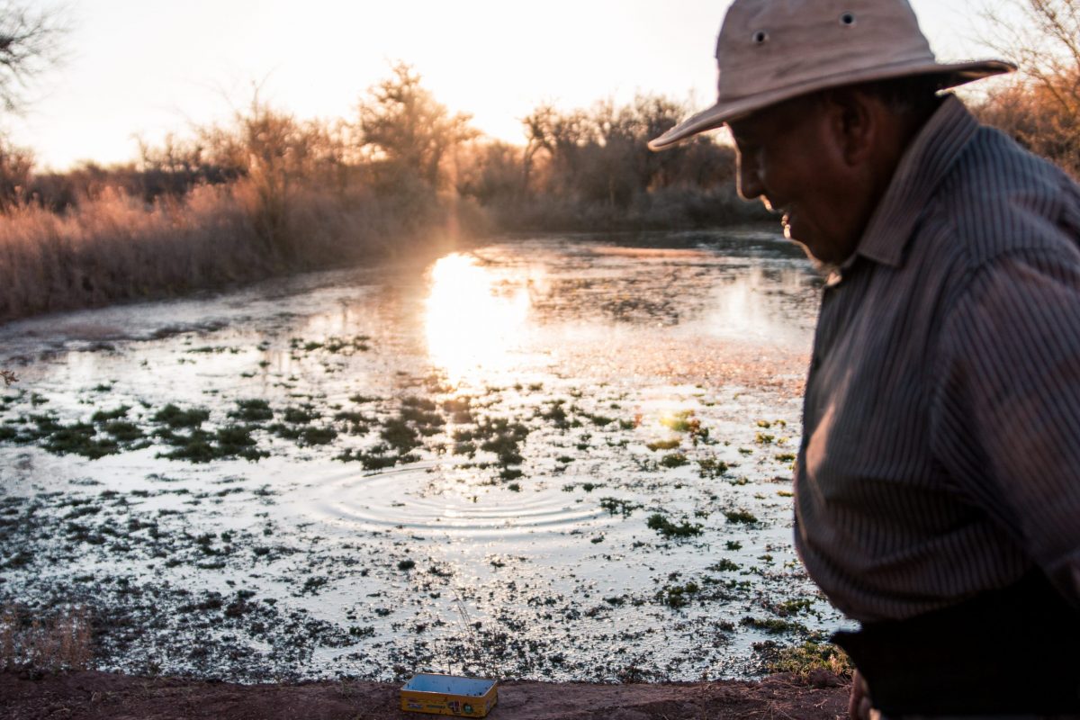 PURICAMANI: LA EXPO QUE EVIDENCIA LA RELACIÓN ENTRE LOS LICKANANTAY CON EL AGUA
