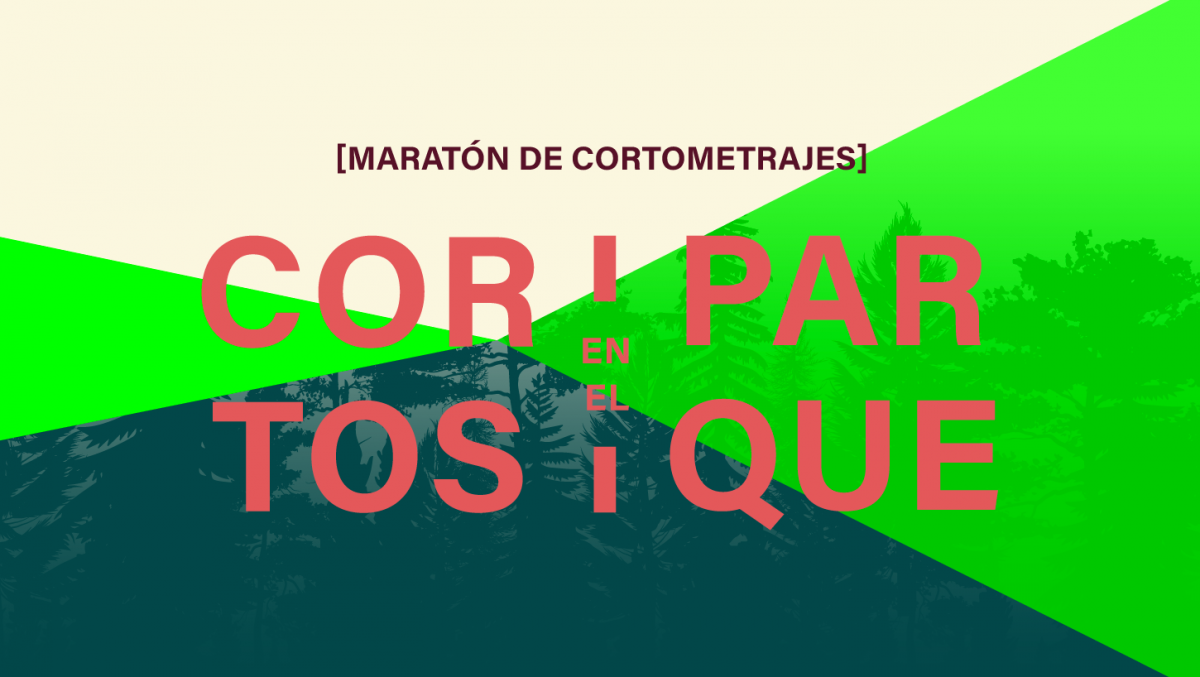 Cortos en el Parque: una maratón de cortometrajes gratuita en BAJRM