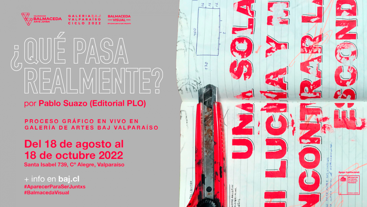 ¿Qué sucede realmente?: Taller de Artes Gráficas se tomará la Galería de #BAJValpo