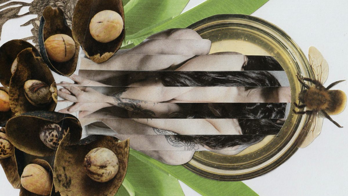 SÉ PARTE DEL TALLER “COLLAGE DESDE LO COLECTIVO; FRAGMENTACIÓN DEL SENTIR” EN BAJVALPO